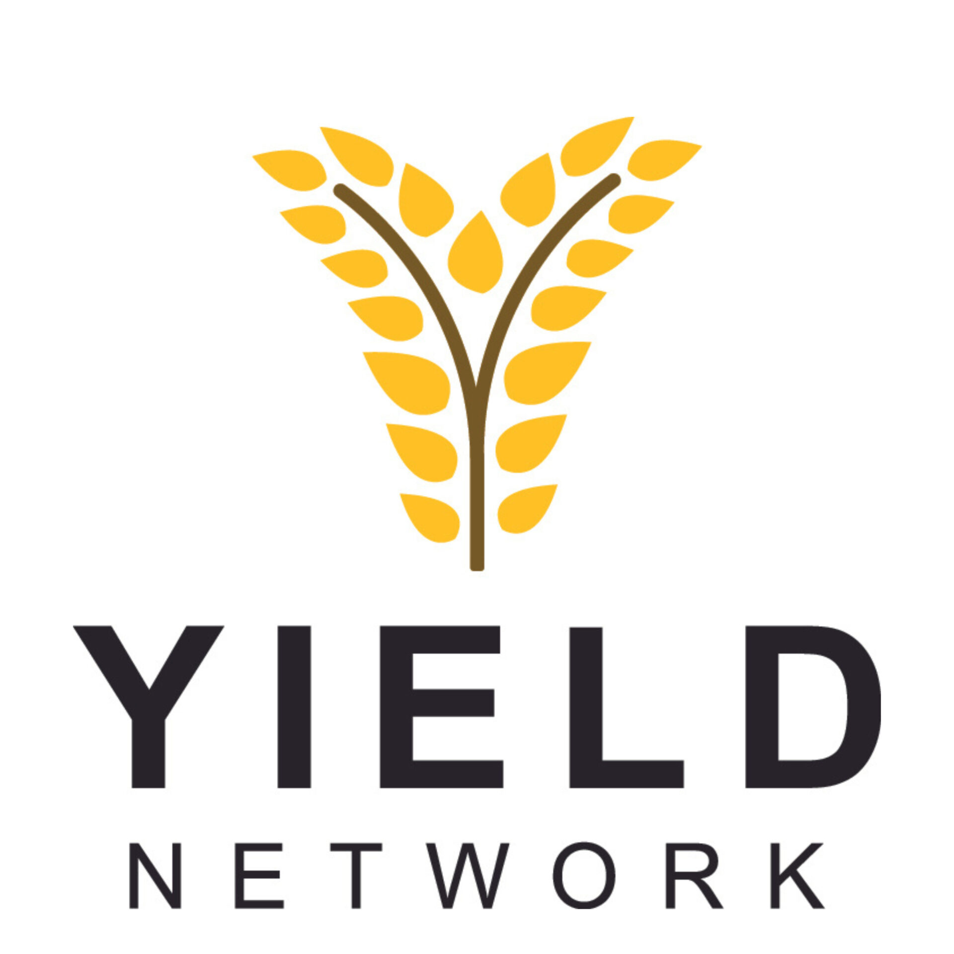 The Yield Network